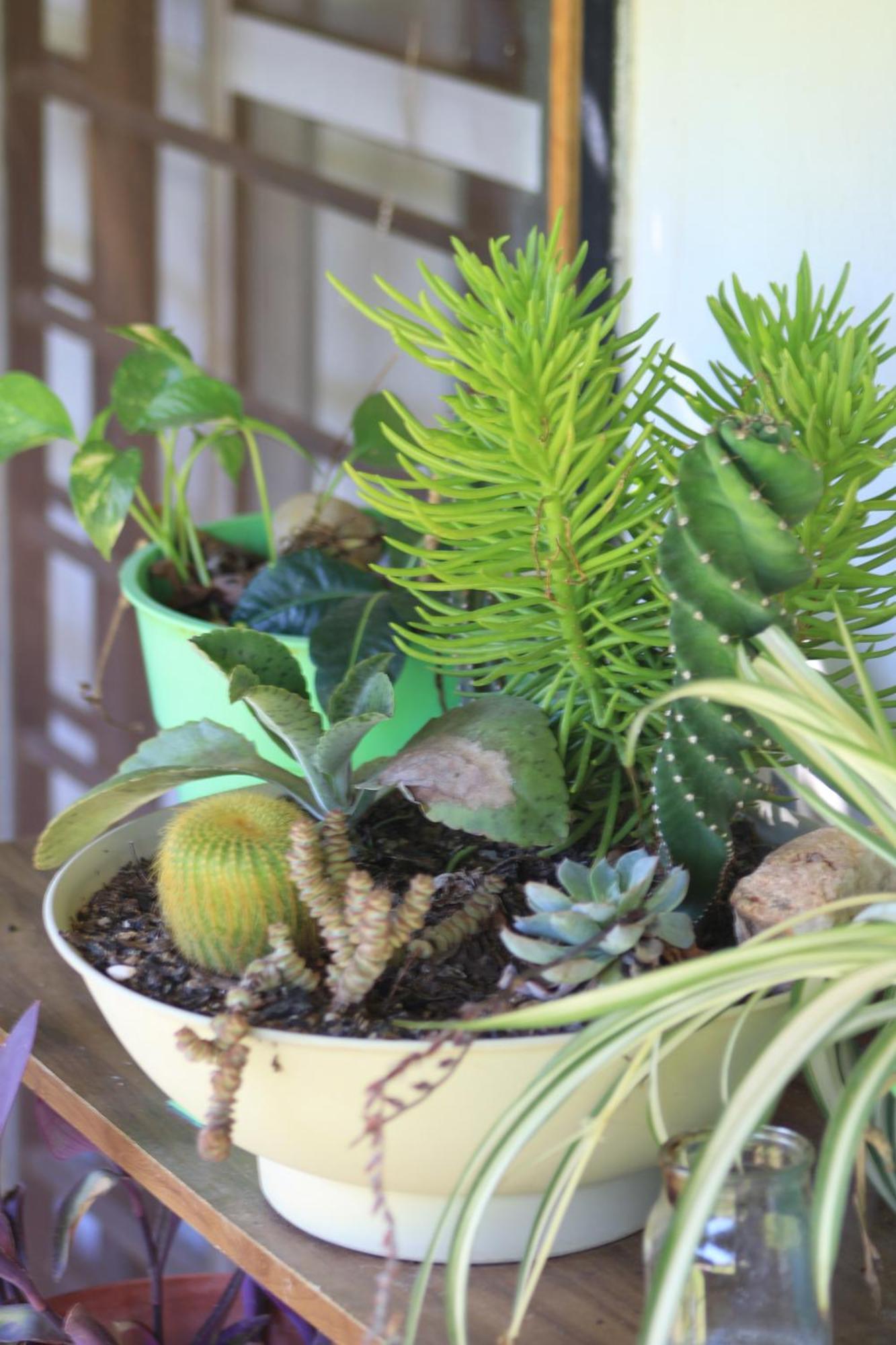 Oasis I Las Moras Con Cochera Y Jardin ลารีโอคา ภายนอก รูปภาพ