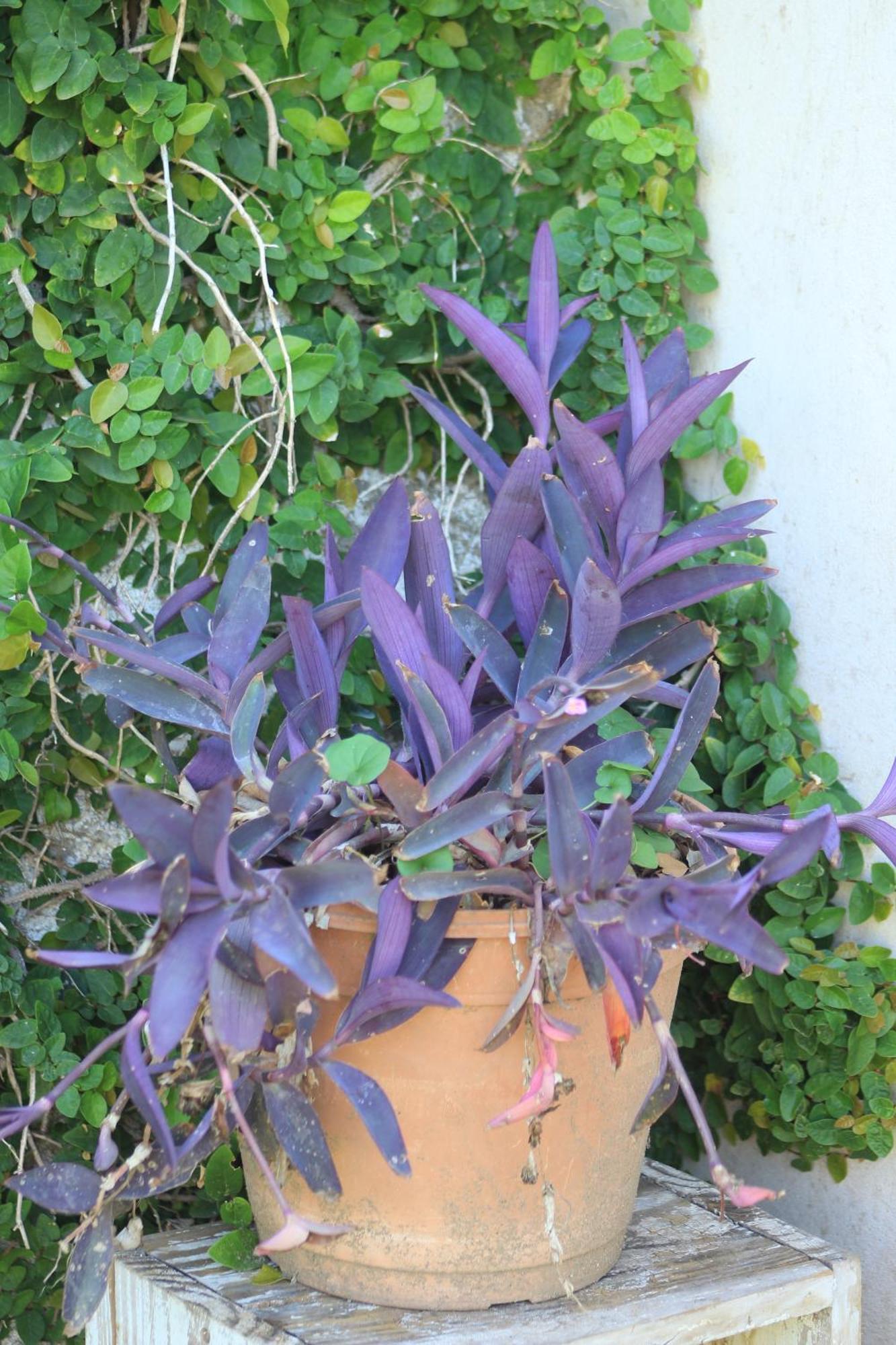 Oasis I Las Moras Con Cochera Y Jardin ลารีโอคา ภายนอก รูปภาพ
